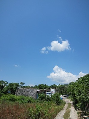 IMG_5843.jpg